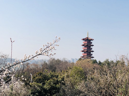 张玉洁_“杏(幸)”好遇见“塔(他)”5003.jpg